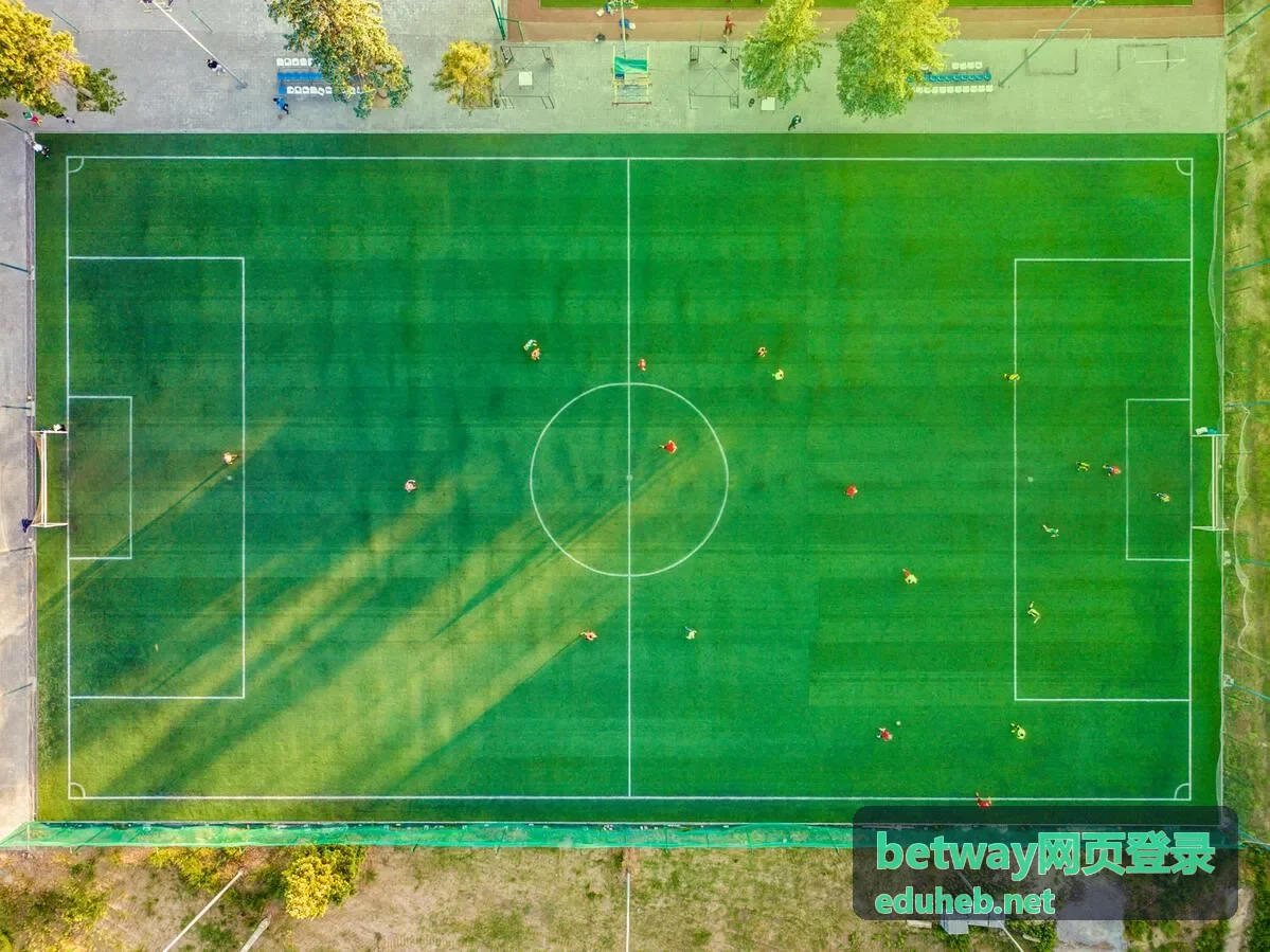 betway网页登录 提醒订阅设置