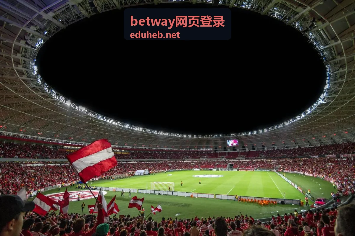 betway网页登录 回放观看说明