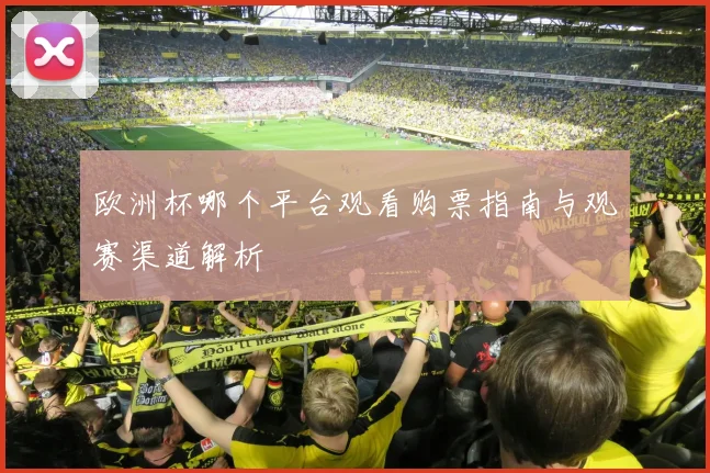 欧洲杯哪个平台观看购票指南与观赛渠道解析