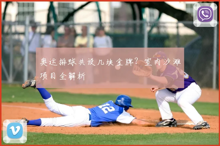 奥运排球共设几块金牌?室内沙滩项目全解析