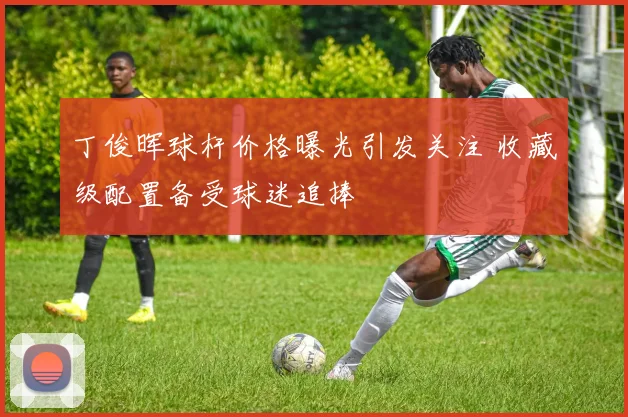 丁俊晖球杆价格曝光引发关注 收藏级配置备受球迷追捧