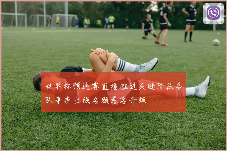 世界杯预选赛直播推进关键阶段各队争夺出线名额悬念升级