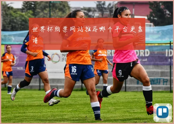 世界杯购票网站推荐哪个平台更靠谱