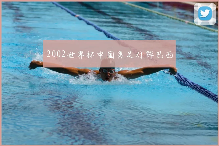 2002世界杯中国男足对阵巴西