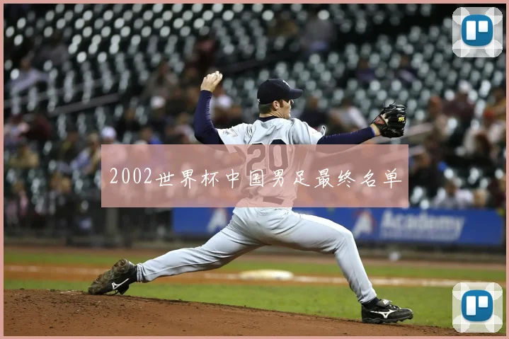 2002世界杯中国男足最终名单