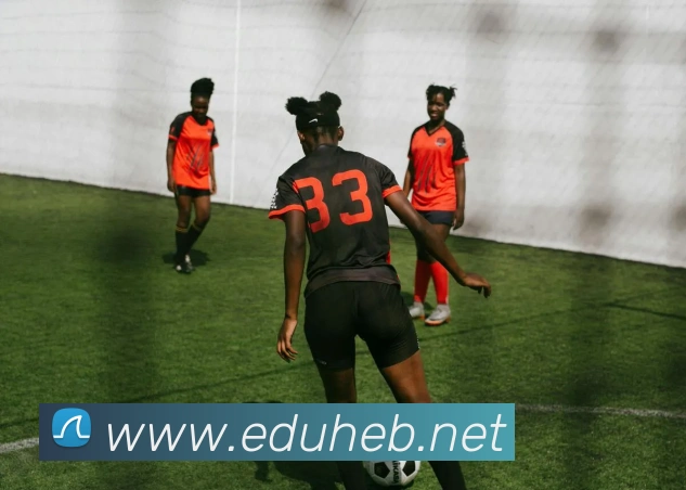 世界杯平台官网登录平台生态图