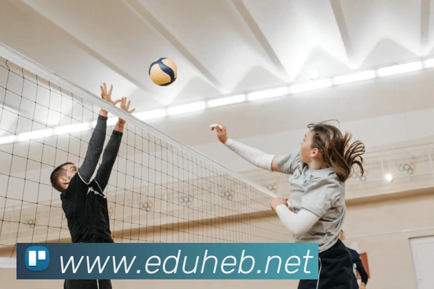 辅助工具 辅助工具